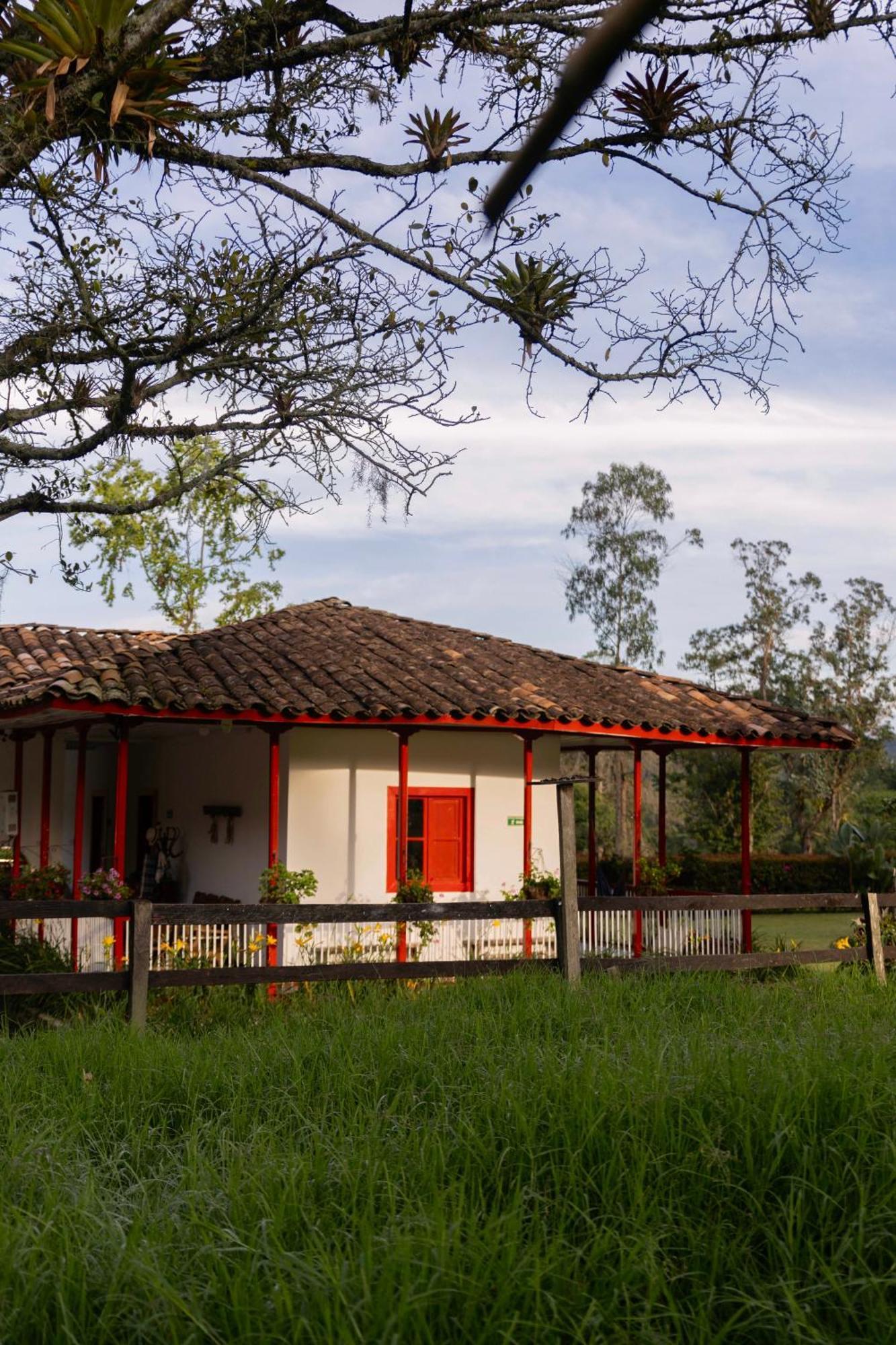 La Cabana Ecohotel - Valle Del Cocora Salento Exteriér fotografie