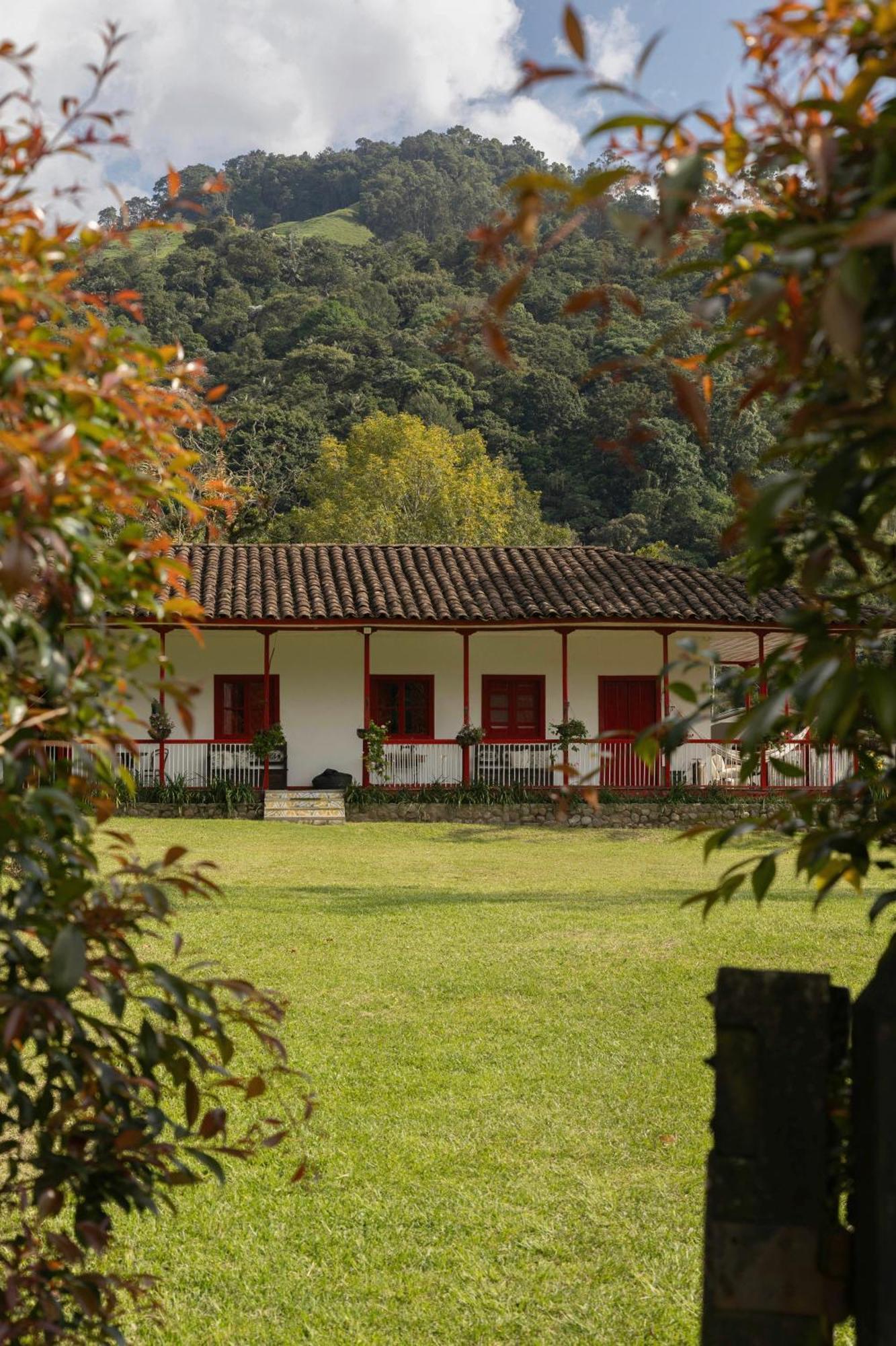 La Cabana Ecohotel - Valle Del Cocora Salento Exteriér fotografie