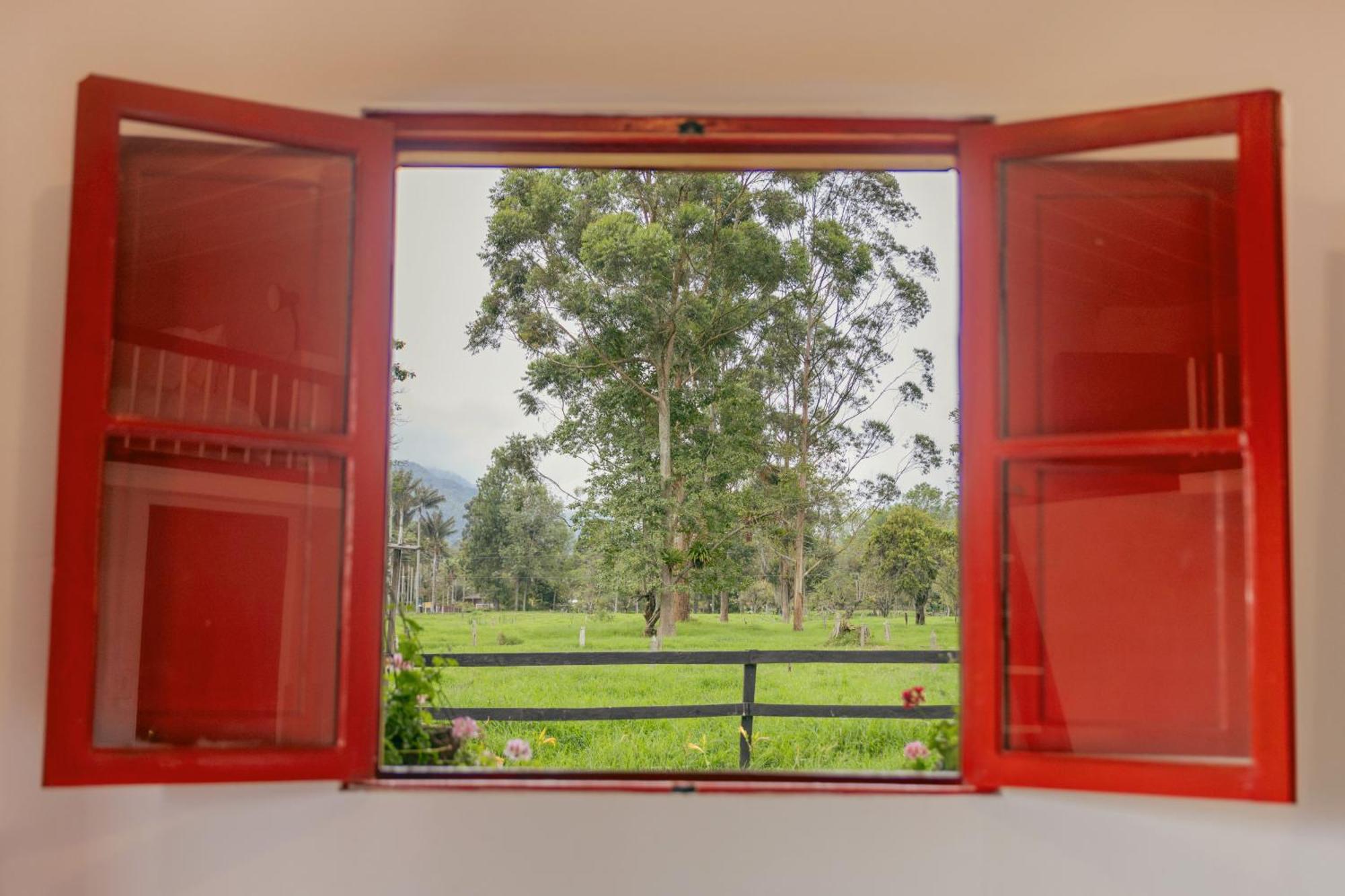 La Cabana Ecohotel - Valle Del Cocora Salento Pokoj fotografie